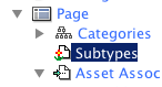 Subtype